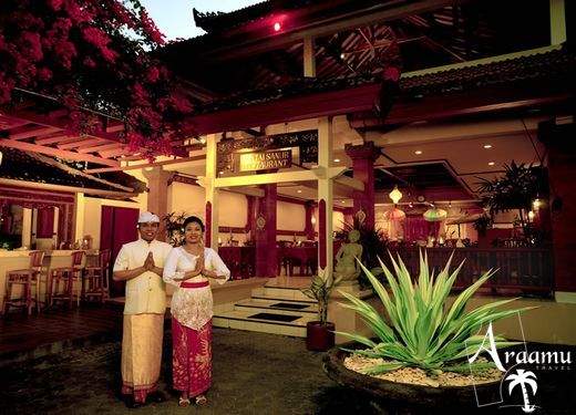 Bali, Wina Holiday Villa****